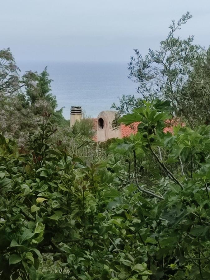 Villetta Cala D'Ambra San Teodoro  Buitenkant foto