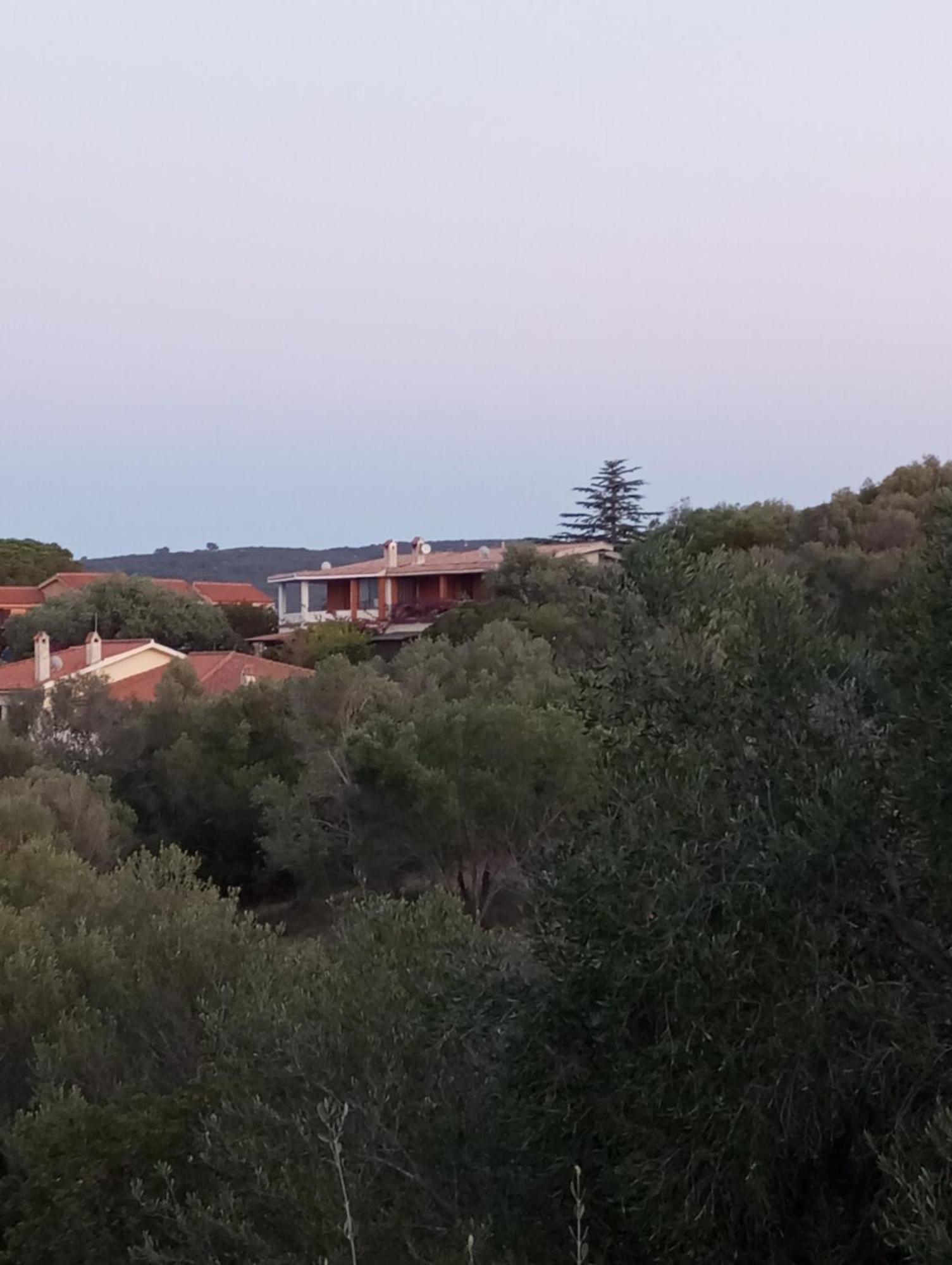 Villetta Cala D'Ambra San Teodoro  Buitenkant foto