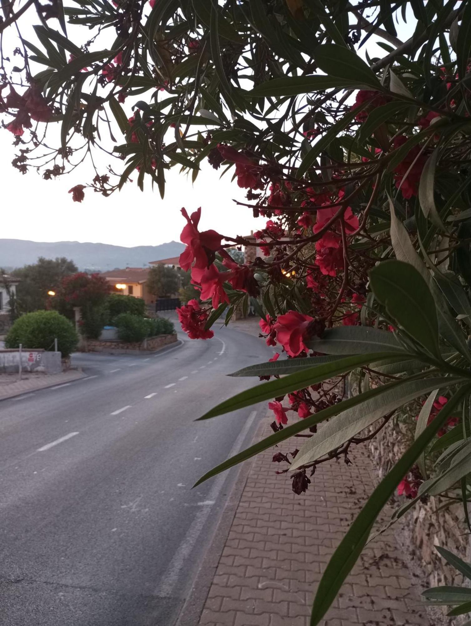 Villetta Cala D'Ambra San Teodoro  Buitenkant foto