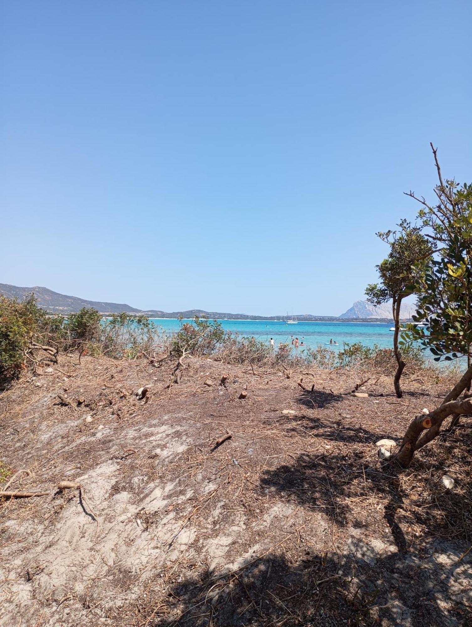 Villetta Cala D'Ambra San Teodoro  Buitenkant foto